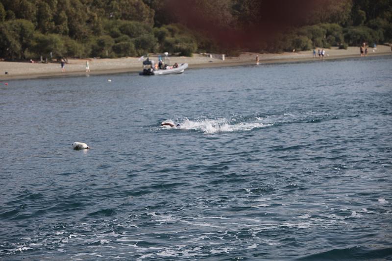 Comen Cup 2009 448.jpg